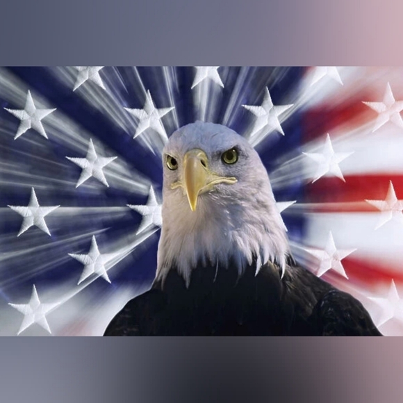 🕊 For Love and Lemons Zoeva Headband #1 🕊 - Picture 12 of 13